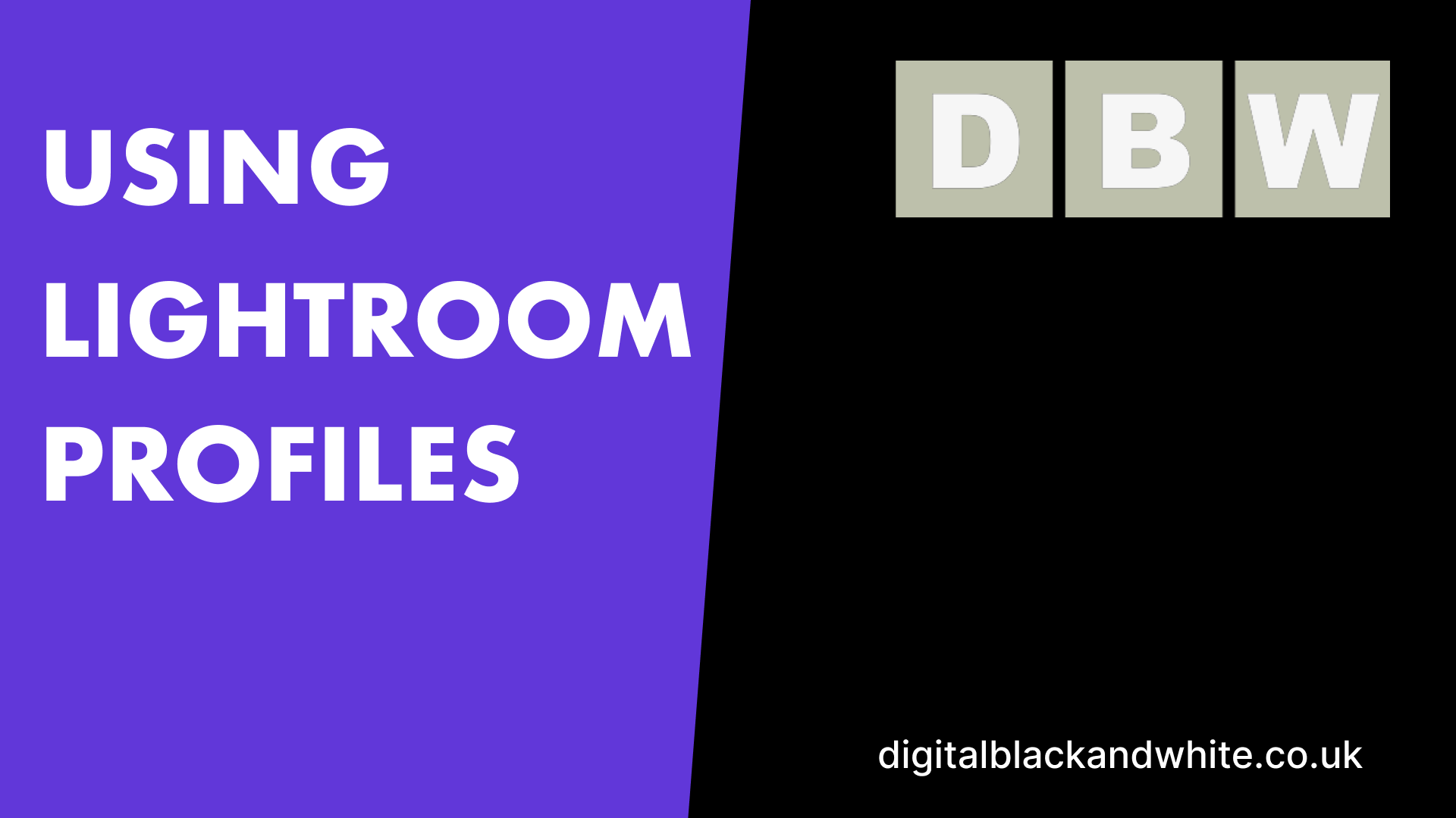 Using Lightroom Profiles