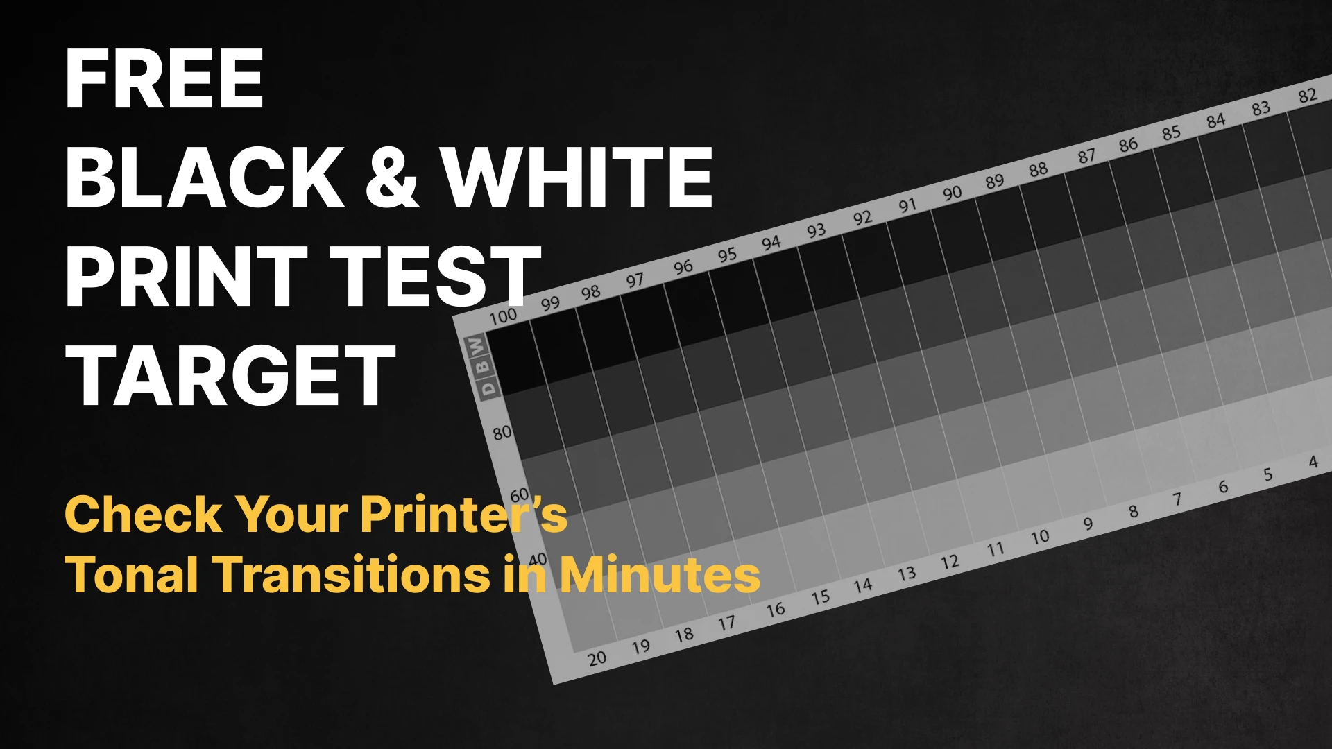 tone-transition-test-target